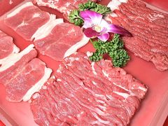 -前门杨记·铜锅涮肉(王府井·故宫店)