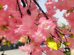 -首开·龙湖成都西宸天街