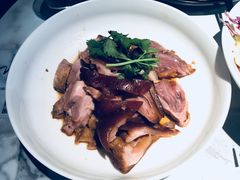 -MR鹅外