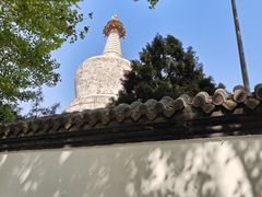 -西塔