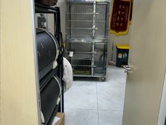 -安安宠医宠物医院·异宠·犬猫内科(岳阳分院)
