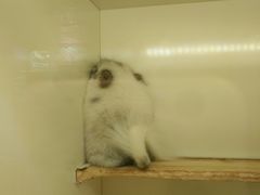 -龙猫仔乐园(惠福东路店)