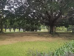 -南沙蒲洲花园