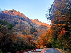 -光雾山旅游景区