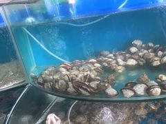 -蓝珊甄选海鲜自助·火锅大排档(近阿那亚店)