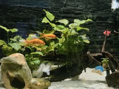 -嘉兴海底世界