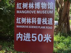 -东寨港红树林旅游区