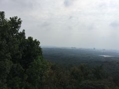-紫金山山顶公园