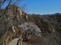 -大岭沟猕猴桃谷风景区