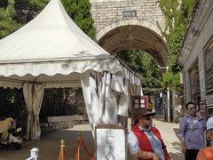 -北京十三陵国家森林公园蟒山景区