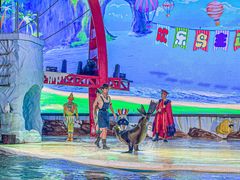 -三亚海昌梦幻海洋不夜城