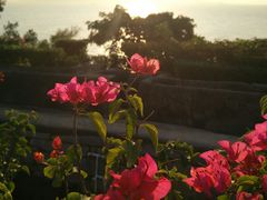 -胡里山炮台