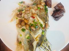 -Social 秀西餐厅-长沙瑞吉酒店(运达店)