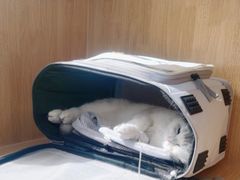 -美联众合动物医院·24h京西诊疗中心