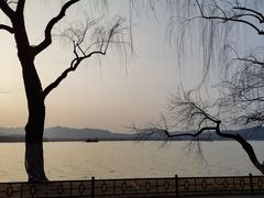 -也枫·小黄楼(南山路旗舰店)