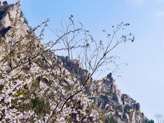 -北京凤凰岭