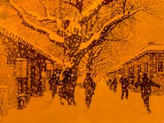 -和平菓局(王府井店)