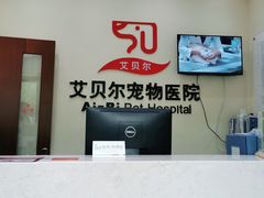 -艾贝尔宠物医院 ·内科全科(梁溪路店)