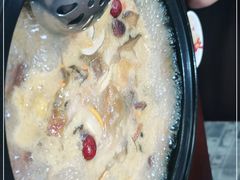 -菌之家·专业纯野生菌火锅·特色炒菌