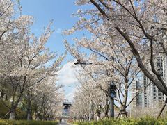 -霖公馆SPA·足道(普善路店)