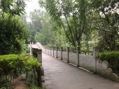 -重庆彩云湖湿地公园