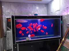 -绿岛汤泉韩式休闲会所