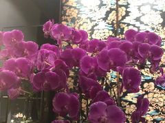 -璞·澐间影院式足道SPA(尚悦湾店)