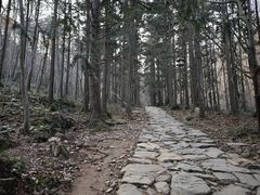 -冶父山国家森林公园