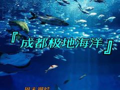 -海合安成都极地海洋公园