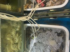 -福建美食城(老君堂店)