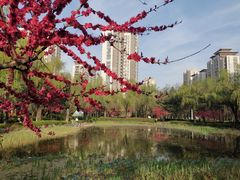 -木塔寺遗址生态公园