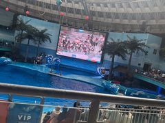 -海合安成都极地海洋公园