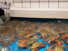 -恭喜上堓砂锅焗·海鲜大排档(闵行龙湖店)