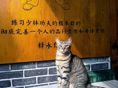 -少林功夫文化中心·独门独院
