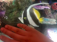 -沈阳海洋探索中心