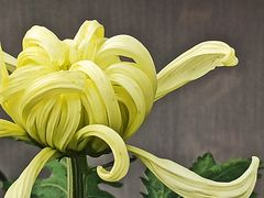 -共青国家森林公园-售票处