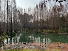 -桤木河湿地公园