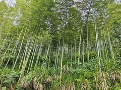 -仙岛湖旅游风景区