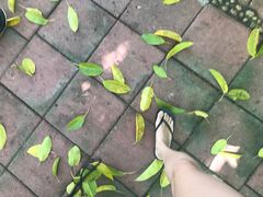 -卷心菜和避孕套餐厅(Pattaya)