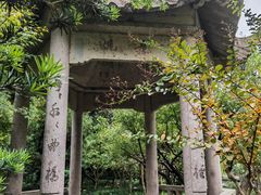 -亭林公园