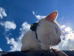 -呼和诺尔旅游景区