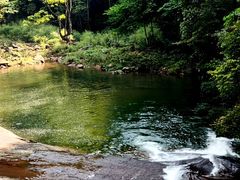 -黄荆老林