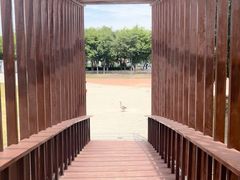 -西安浐灞国家湿地公园