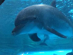 -波塞冬旅游度假区