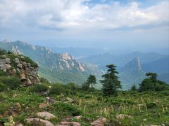 -芦芽山旅游度假区