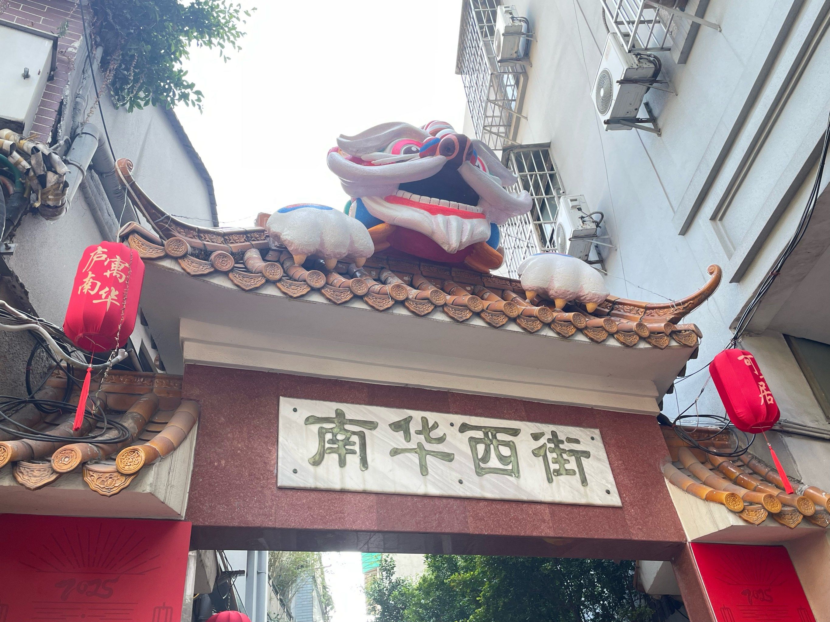 南华西鱼灯终于更新啦🐠🏮