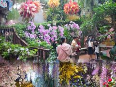 -正佳雨林生态植物园