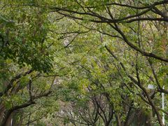 -白塘生态植物园