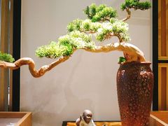 -享月汤皇·海鲜小火锅·聚会(曲江创意谷店)