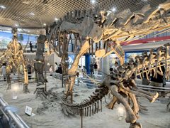 -国家自然博物馆